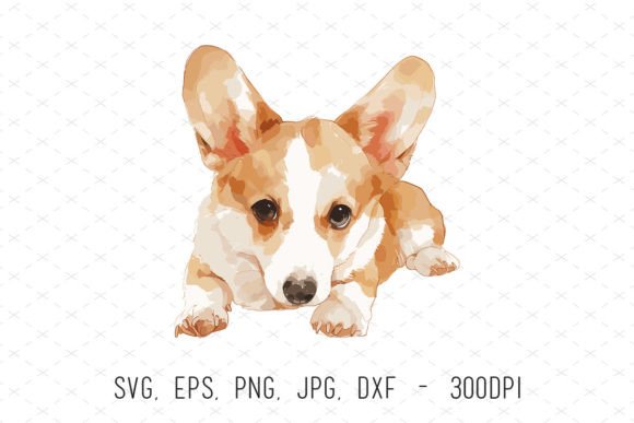 Cute Watercolor Corgi Dog Puppy Clipart