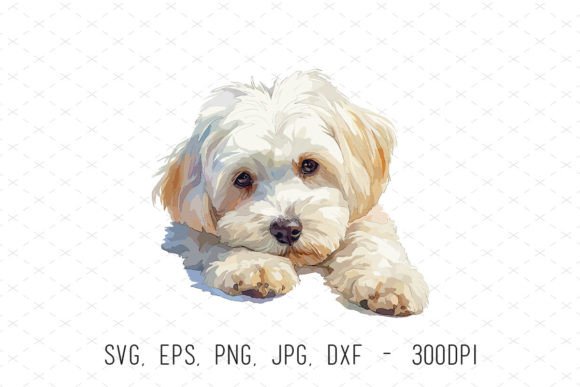 Havanese Puppy Cute Watercolor Dog PNG Graphics & Illustrations