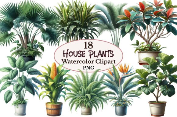House Plants Sublimation Clipart: Graphics & Illustrations for Lifestyle Brands