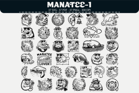 Manatee Clipart – 37 Designs: Graphics & Illustrations for Local Branding