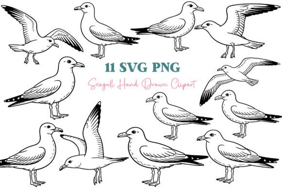 Seagull Clipart SVG PNG Bundle