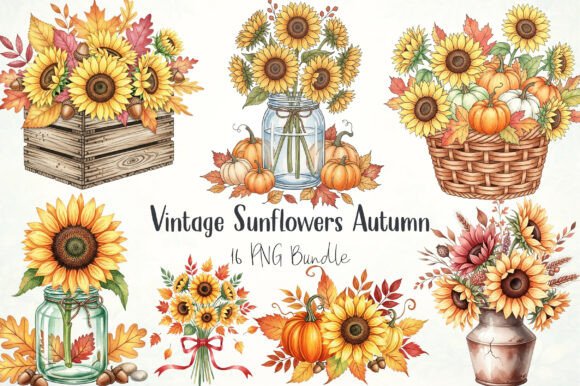 Vintage Sunflowers Autumn Clipart Bundle: Graphics & Illustrations