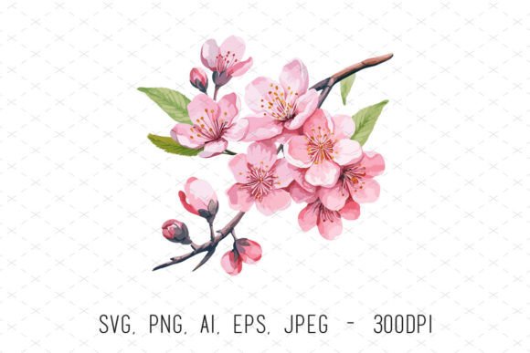 Watercolor Cherry Blossom Flower Clipart: Graphics & Illustrations