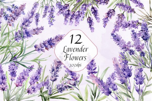 Watercolor Lavender Flowers Clipart: Illustrations & Graphics for Local Branding